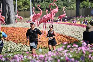 BIB: 
                            <button type="button" onclick="openModal(27793360)" class="btn btn-primary btn-sm float-right btn-popup" data-toggle="modal" data-target=".modal-high-quality">
                        <i class="fas fa-shopping-cart"></i> Add to Cart
                    </button>
                                            <button type="button" onclick="isThisMe(27793360, true)" class="btn btn-success btn-sm float-right btn-popup btn-isme hidden" data-toggle="tooltip" data-placement="bottom" title="นี่คือรูปของคุณใช่ไหม คลิกที่นี่เพื่อเอาเข้าอัลบั้ม">
                        <i class="fas fa-plus"></i> Add to album
                    </button>
                    <button type="button" onclick="isThisMe(27793360, false)" class="btn btn-warning btn-sm float-right btn-popup btn-isnotme hidden">
                        <i class="fas fa-ban"></i> Remove from album
                    </button>